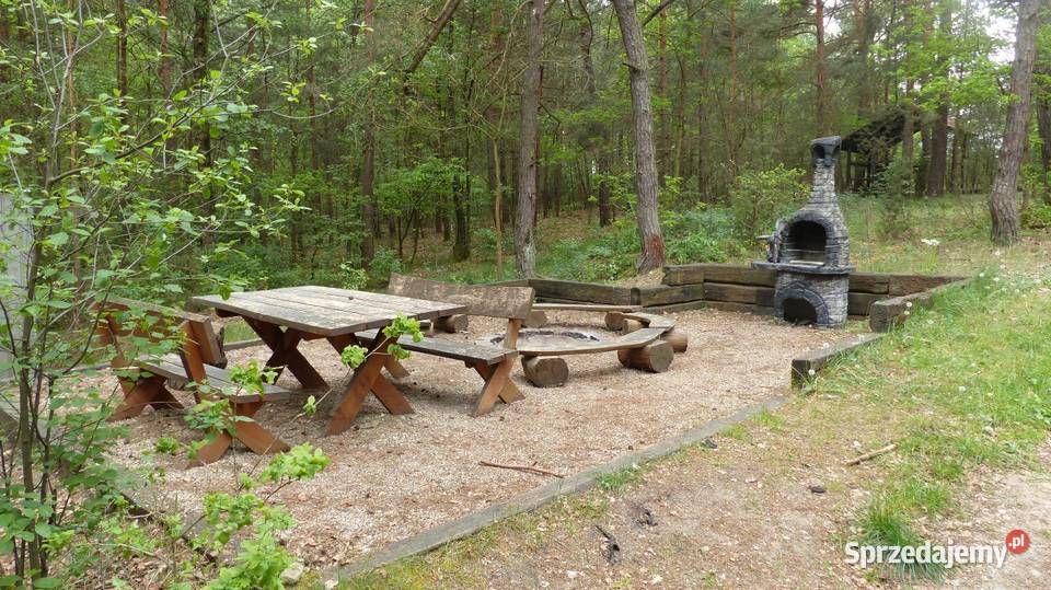 Domki Wartą do wynajęcia Wieluń