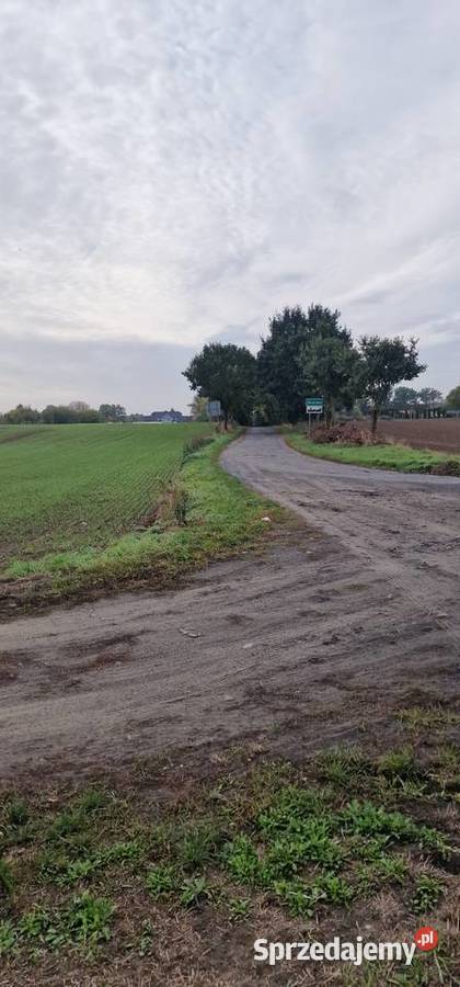StargardKiczarowo DZIAŁKA 2728 m24WZ asfalt Kiczarowo