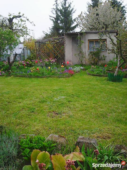 działka rekreacyjna sprzedam