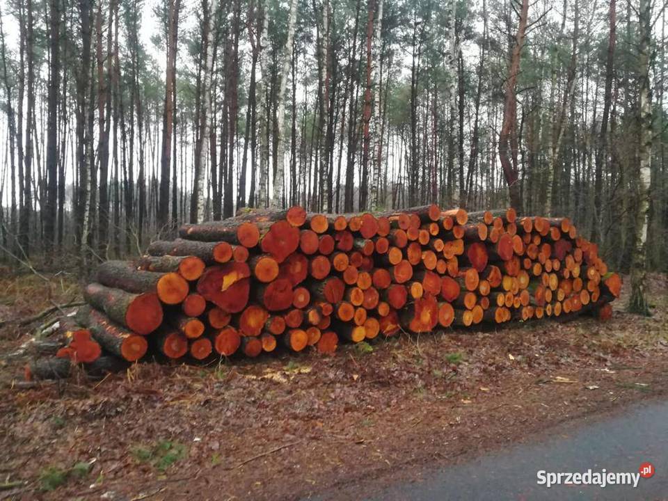 Sprzedam Drewno OLCHA BRZOZA S2B 25 mb Płock sprzedam