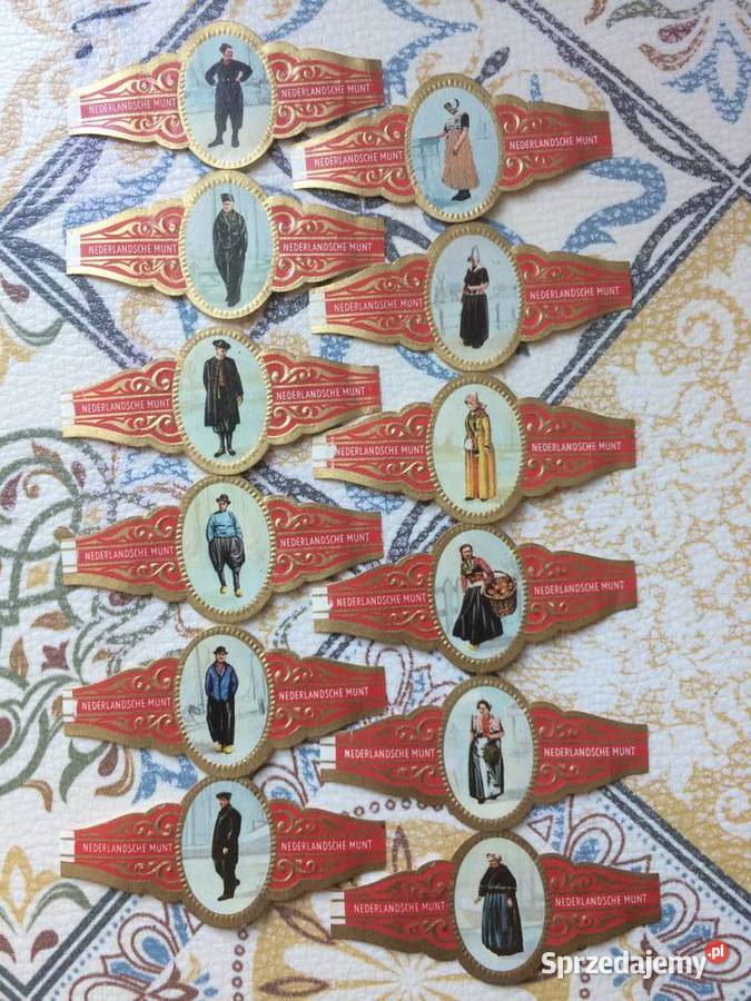 1203 Tradycyjne Stroje Holenderskie Szczecin