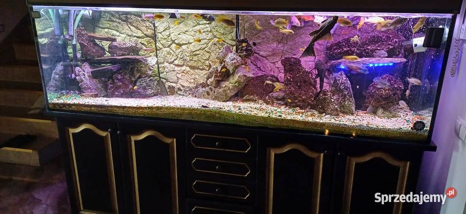 Akwarium 750l filtry życie komplet Kąty Węgierskie