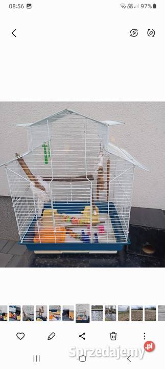 Klatka ptaków mazowieckie