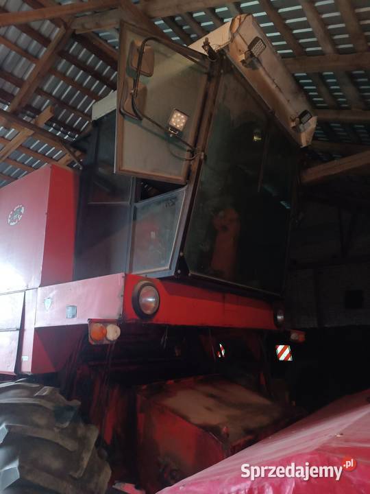 Sprzedam Bizon z056 Jabłoń sprzedam