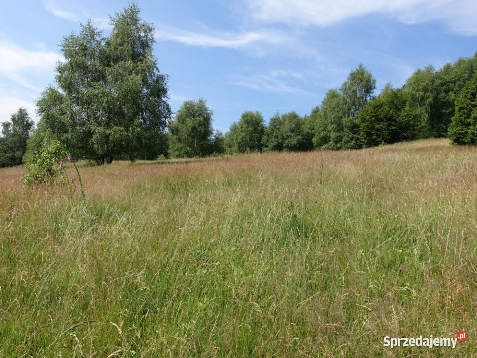 Brenna 25ha pod inwestycje pensjonaty domki 25000m2 śląskie