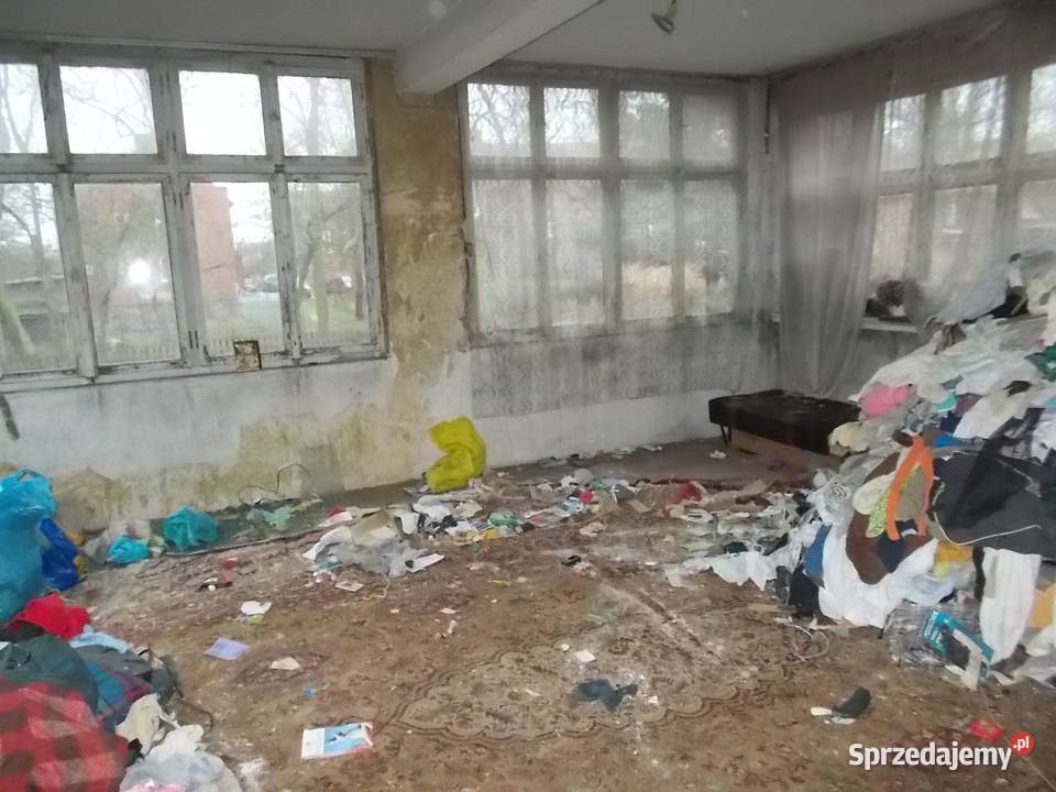 Usługi sprzątania mieszkania zbieraczach Wrocław