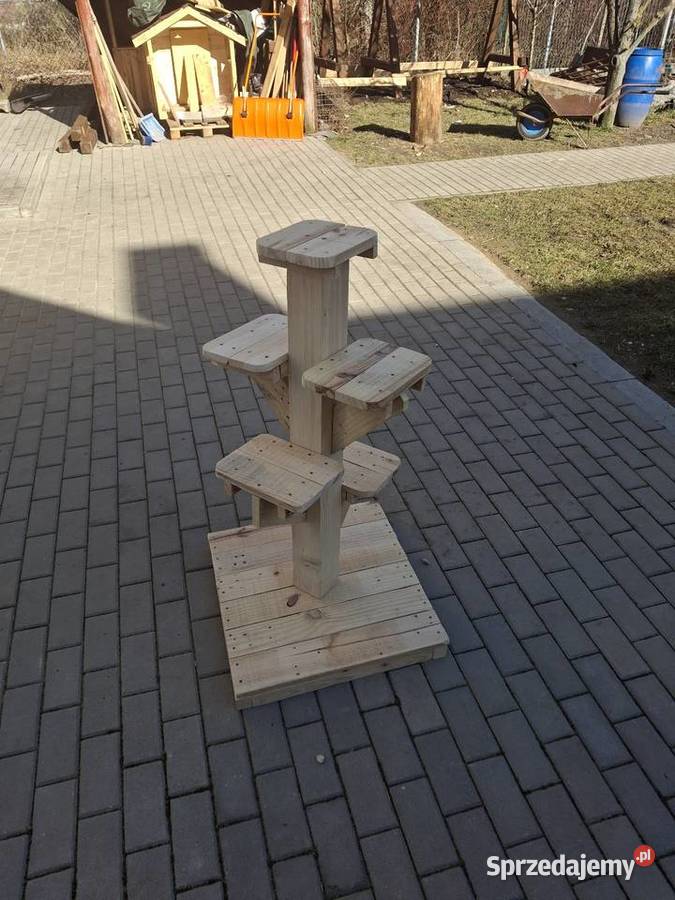 Kwietnik ogrodowy Kielce