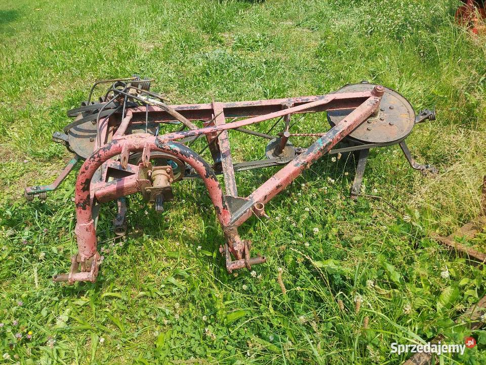 Przetrząsacz pająk grabarka Jasienica Rosielna