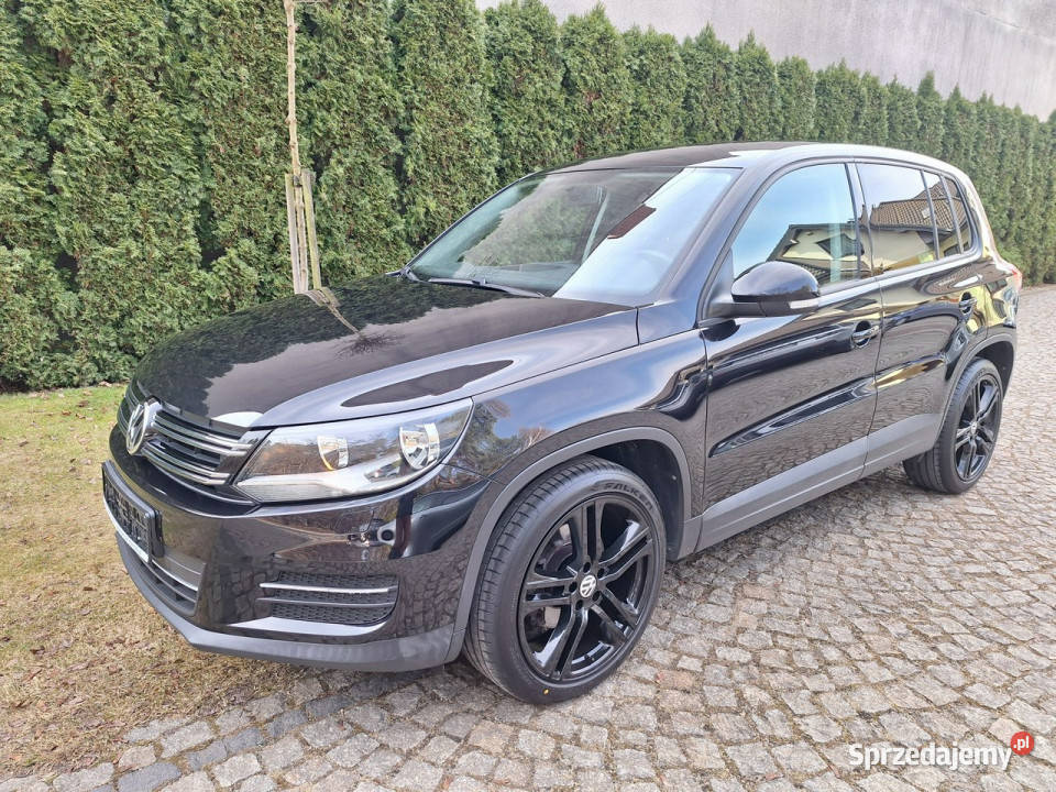 Volkswagen Tiguan BlueMotion Technology Trend Samochody osobowe