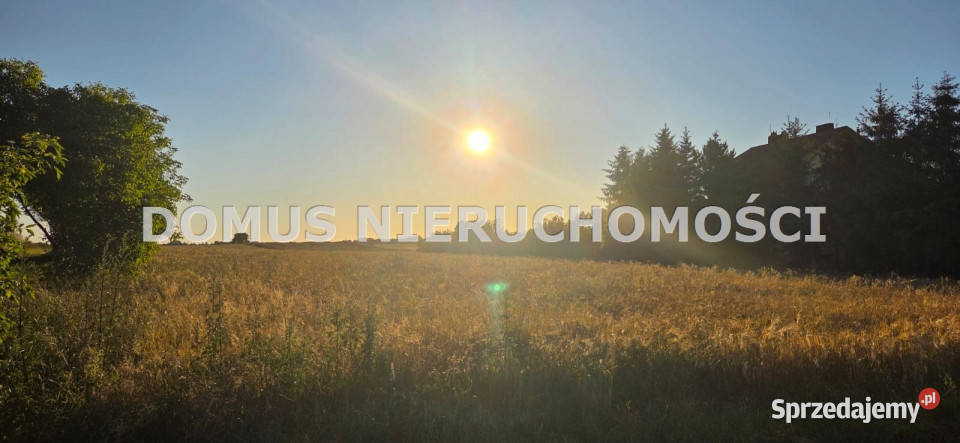 sprzedaży gruntu 9800m2 Rogów sprzedam