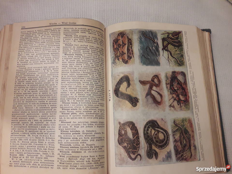 Ilustrowana Encyklopedia Powszechna wyd Piotrków Trybunalski