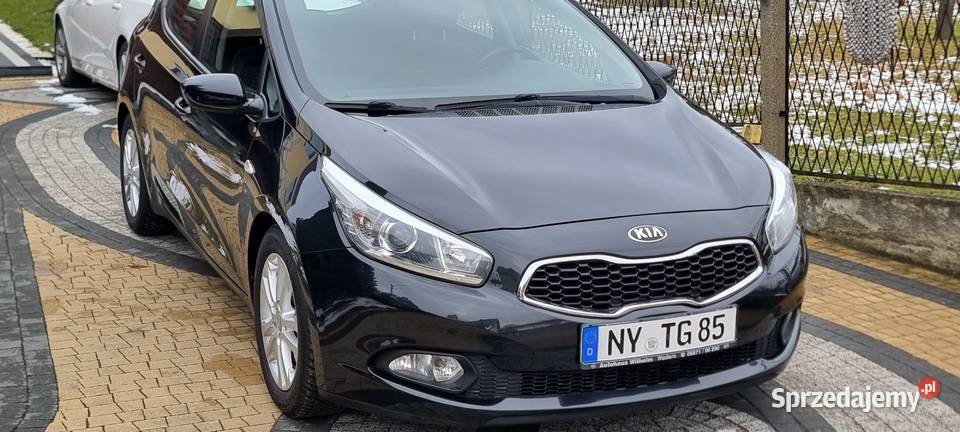 Kia Cedd 1416V 100 138 1400cm3 Cee'd Wodzisław Śląski