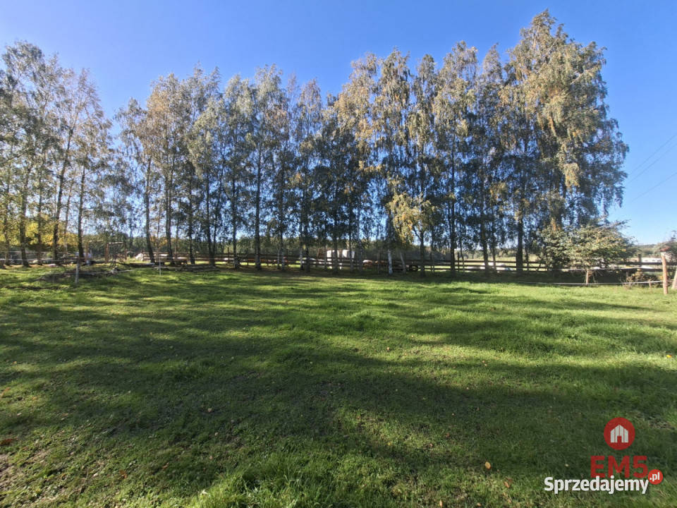 sprzedaży działki Pozezdrze 4800m2