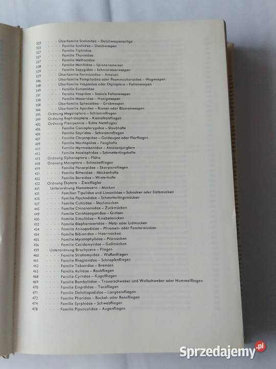 URANIA TIERREICH Insekten Hajnówka