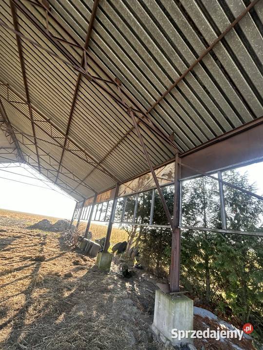 HALA wiata konstrukcja blacha trapez dach 135x25 Kutno