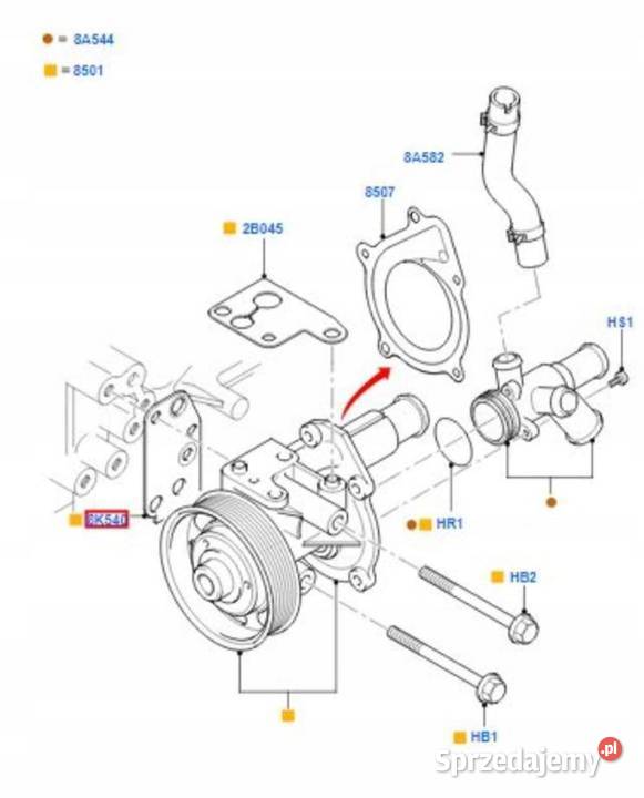 USZCZELKA POMPY WODY FORD TRANSIT 0014 1096559 osobowe