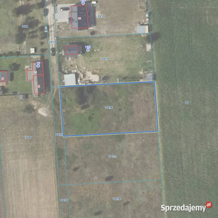 Płońsk Bogusławice Mazowieckie mazowieckie sprzedam