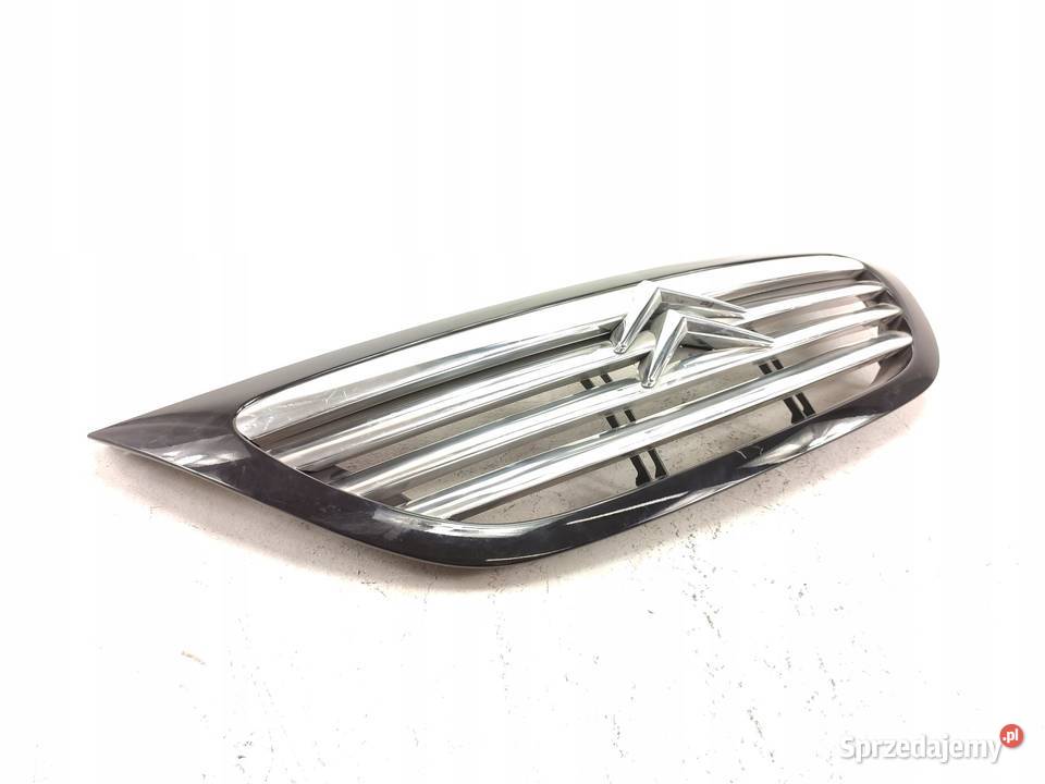 GRILL ATRAPA CHŁODNICY CITROEN C3 DG 20022009