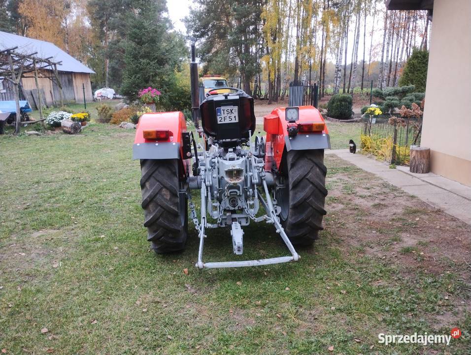 Ursus Massey Ferguson 235 Głowaczów sprzedam