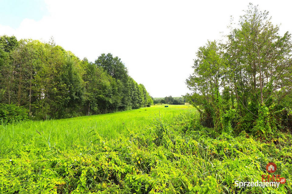 Do sprzedaży lokal Mołowiste 2650m2 podlaskie