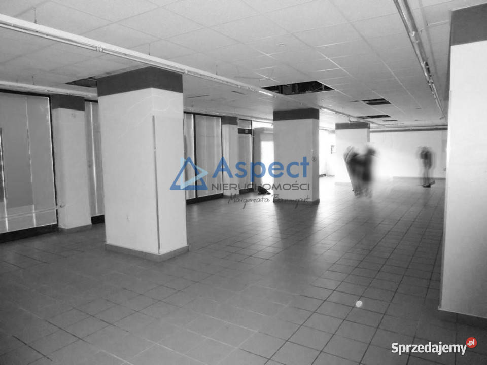 Duży lokal 264m2 w Centrum 264m2 Szczecin