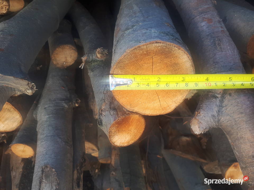 Drewno drzewo buk transport Ustroń