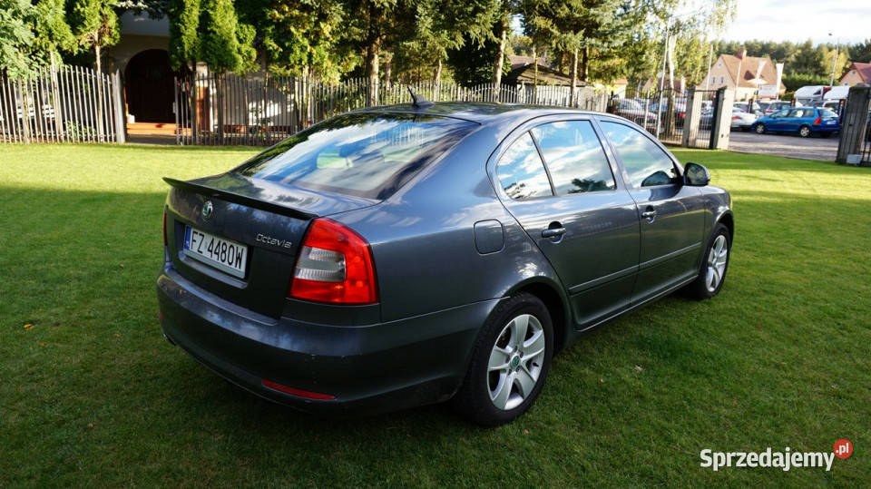 koda Octavia super stan Gwarancja II 20042013 Zielona Góra