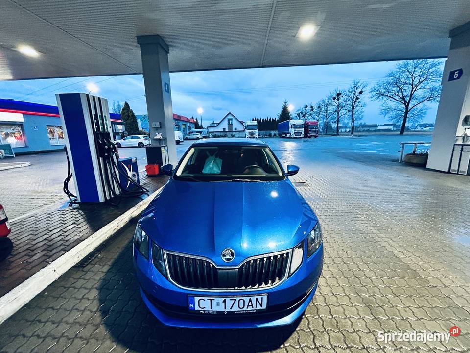 Ladna Skoda Octavia Inowrocław