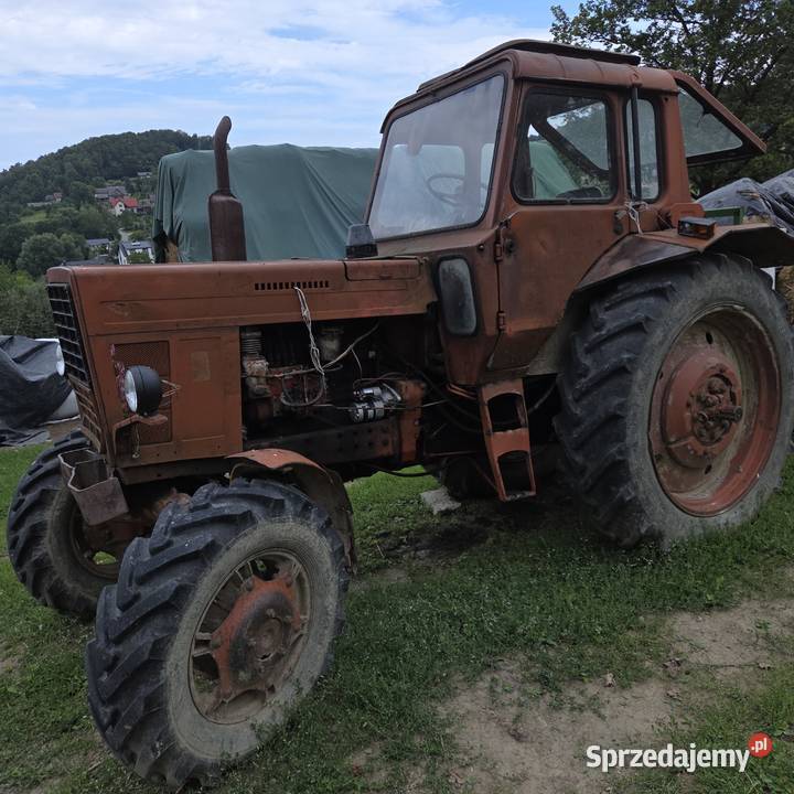 Sprzedam MTZ 82 1984 r sprawny do remontu Pozostałe Rajbrot