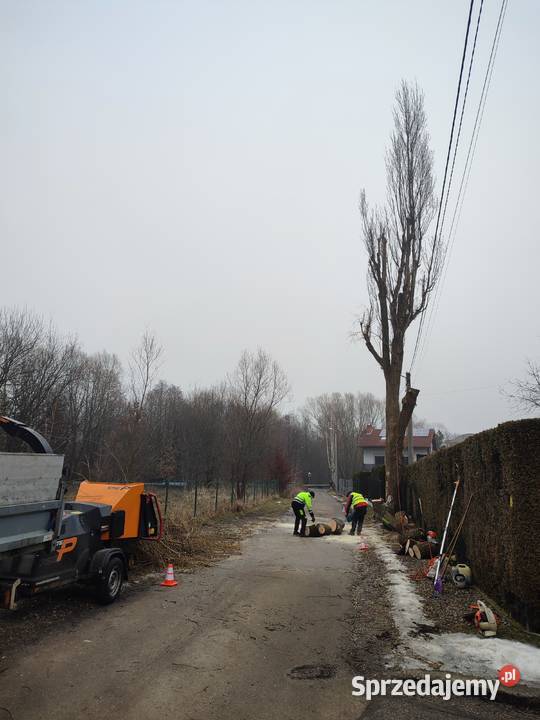 Wycinka drzew trudnych Frezowanie usuwanie pni Żywiec