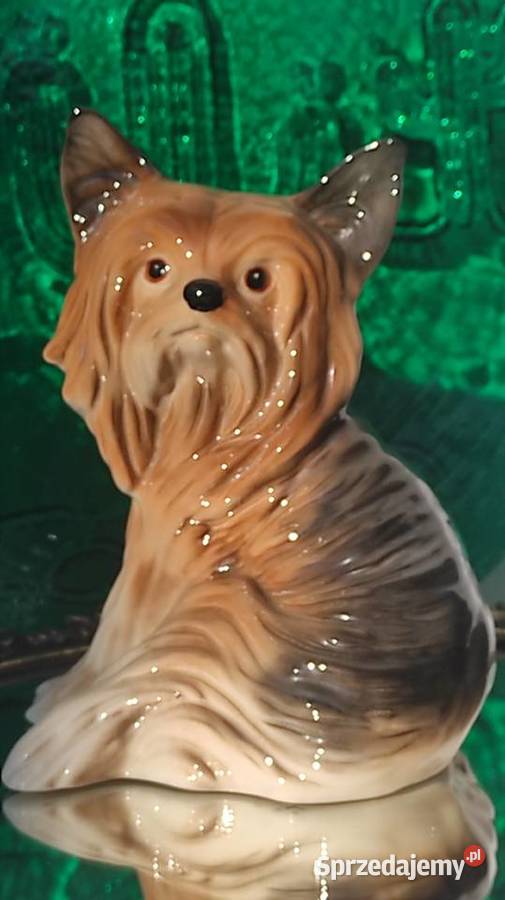MELBA Wyjątkowa porcelanowa figura psa rasy YORK łódzkie Pabianice