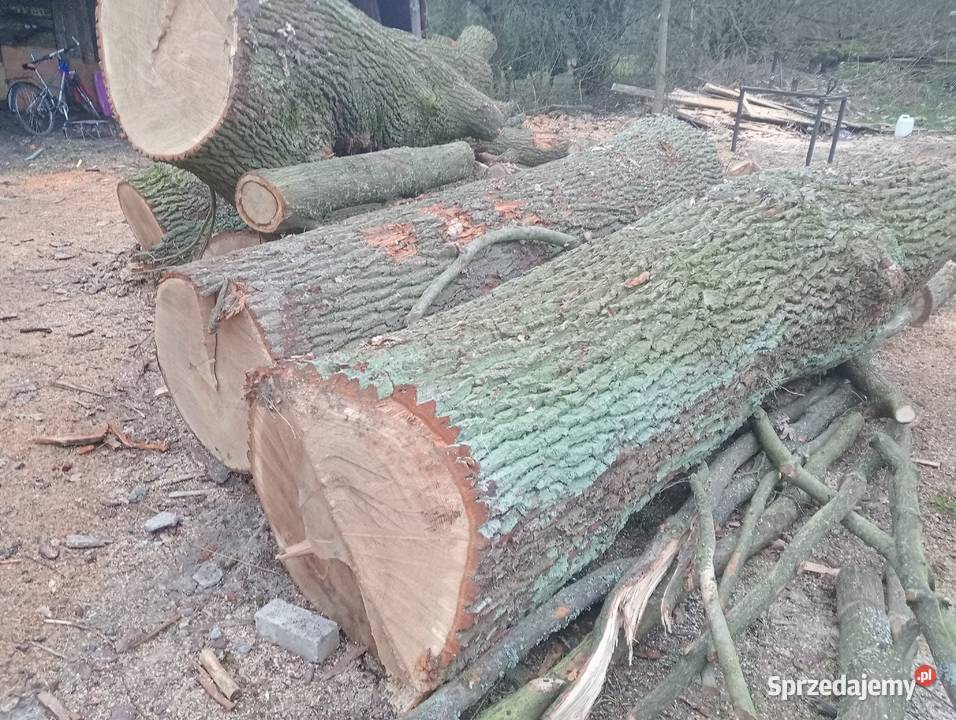 Sprzedam drewno kominkowe