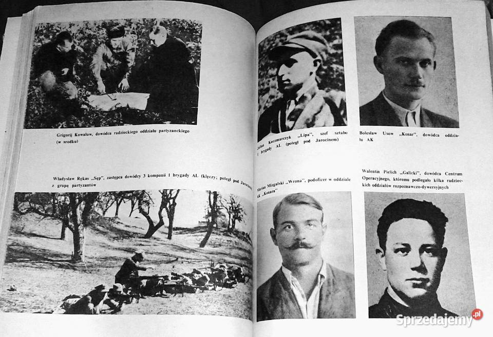 Lasy Janowskie i Puszcza Solska Waldemar Chełm sprzedam