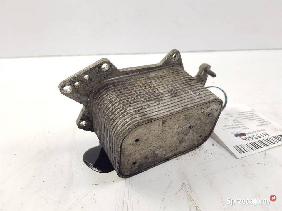 CHŁODNICZKA SPALIN VOLKSWAGEN PHAETON II LIFT kujawsko-pomorskie sprzedam