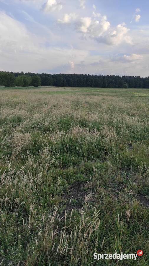 Grunty rolne ok 5 ha Sławacinek Stary gm Biała rolna lubelskie Biała Podlaska sprzedam