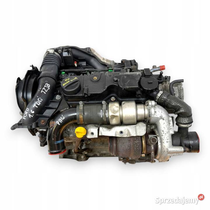 SILNIK TZJB Ford Fiesta VI VII MK7 16 TDCI 95 Chełm