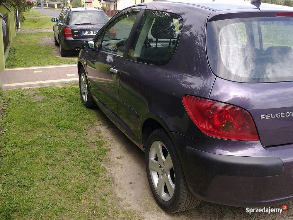 Peugeot 307 wielkopolskie Ostrów Wielkopolski sprzedam
