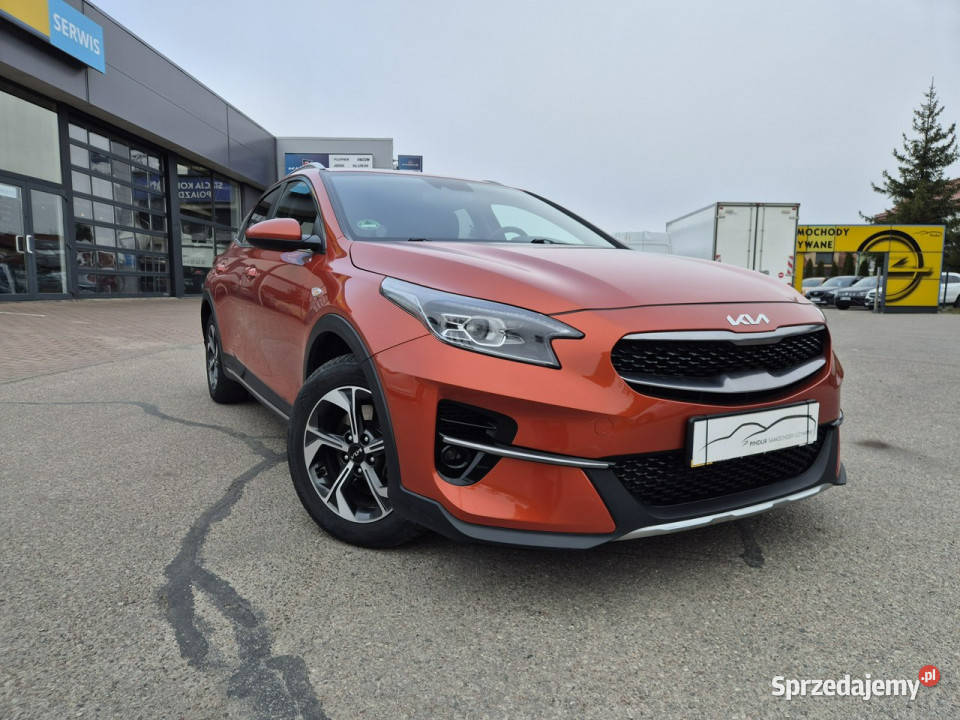 Kia XCeed MSmart 16 TGDI 160 przyciemniane szyby warmińsko-mazurskie