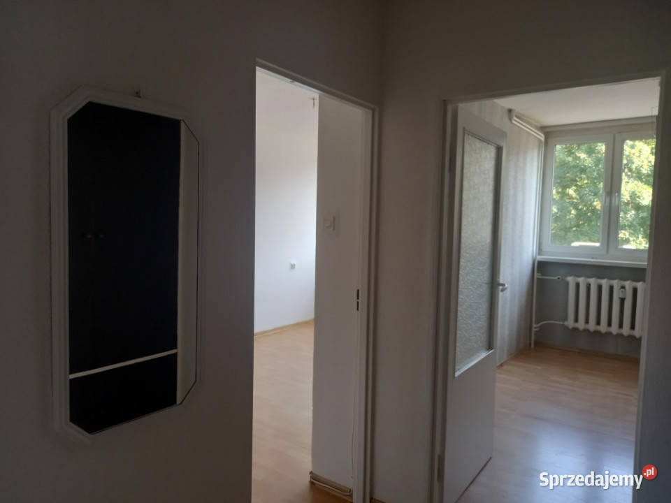 Mieszkanie do wynajęcia 54m2