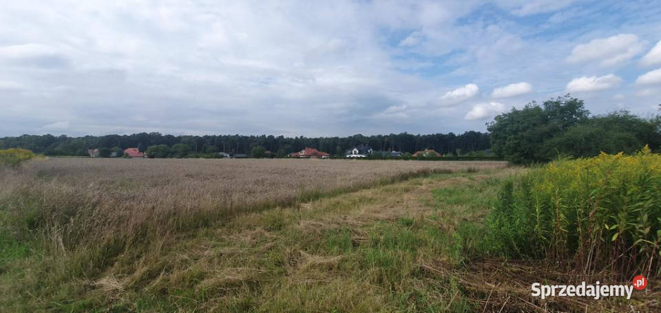 Piękna działka budowlana lasu 17arŚwidnik sprzedam
