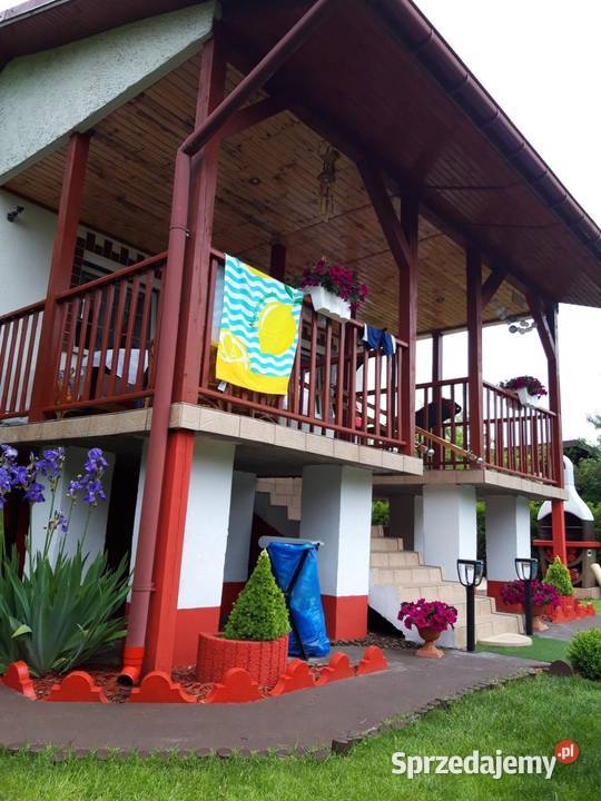 Przepiękna działeczka Sprzedaż Rogówko