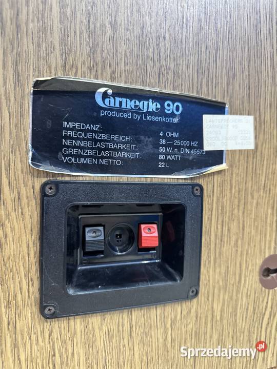 Kolumny głośnikowe Carnegle 90 Łapy