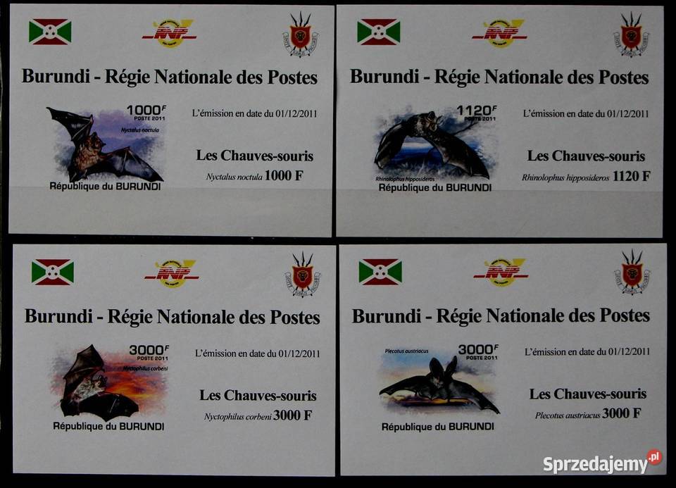 Burundi 2050 2 jpg Oborniki