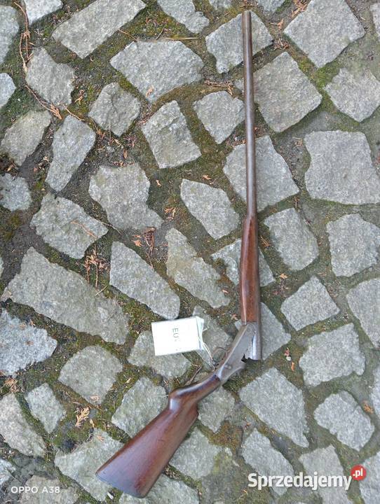 kniejówka shotgun dolnośląskie