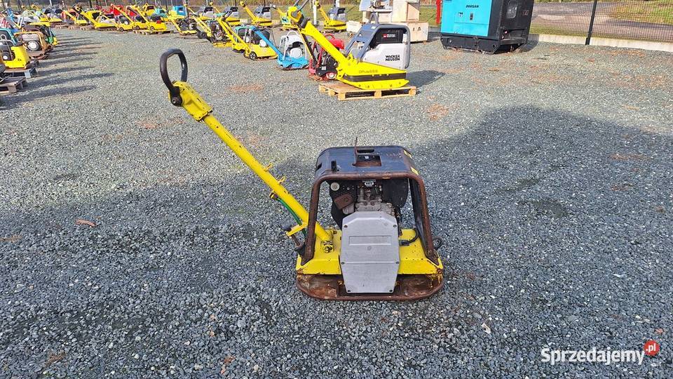 Zagęszczarka Płyta Ubijak WACKER NEUSON DPU 2440 Trzebnica