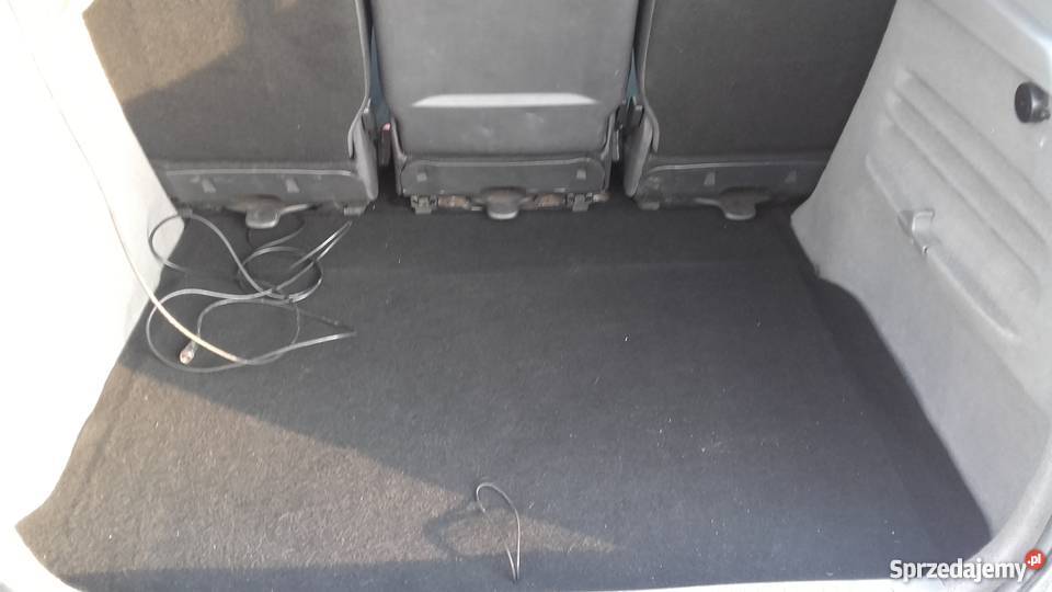 renault scenic Gniezno