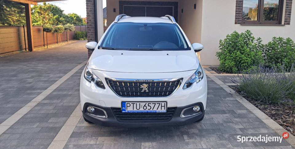 Peugeot 2008 15 blueHDI 2019 nowy rozrząd serwis wielkopolskie Słodków-Kolonia
