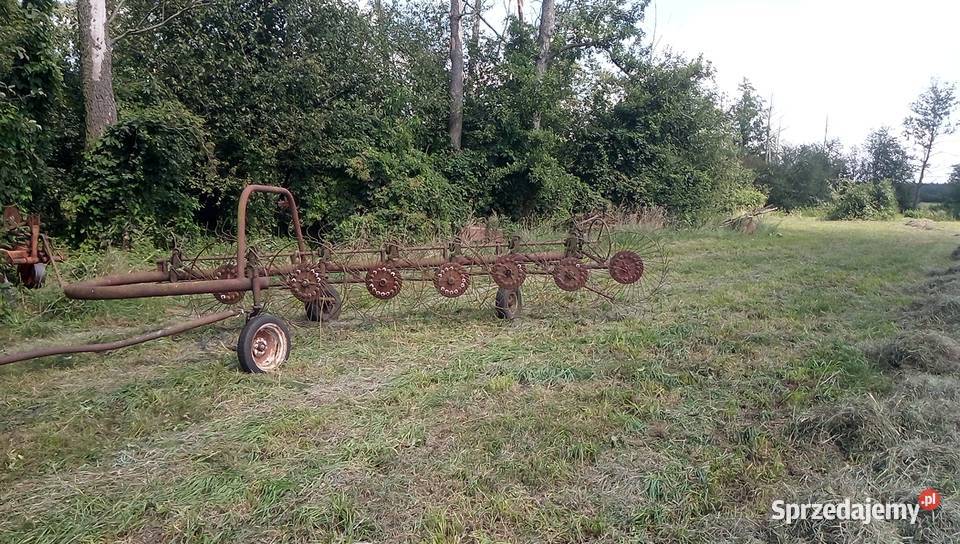 Zgrabiarka siedmiogwiazdowa Koło