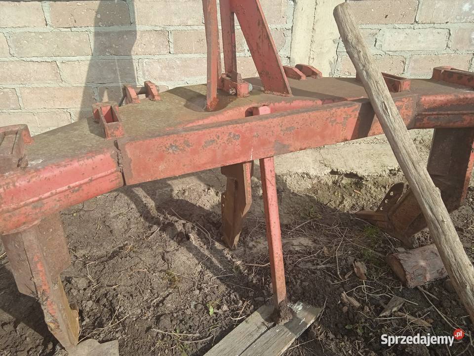 głębosz 3 łapy Niedarczów Górny-Kolonia sprzedam