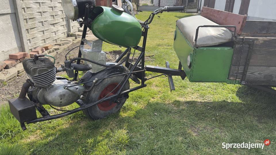 Trajka dzik wsk akryl wielkopolskie